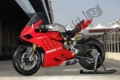 Tutte le parti originali e di ricambio per il tuo Ducati Superbike 1199 Panigale USA 2013.